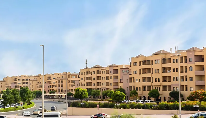 Rental Property Management